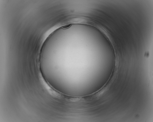 X0000112731434200909101440