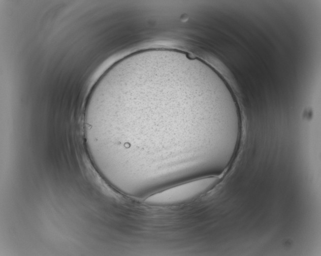 X0000112731436200909101440