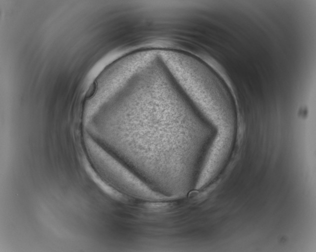 X0000112731437200909101440