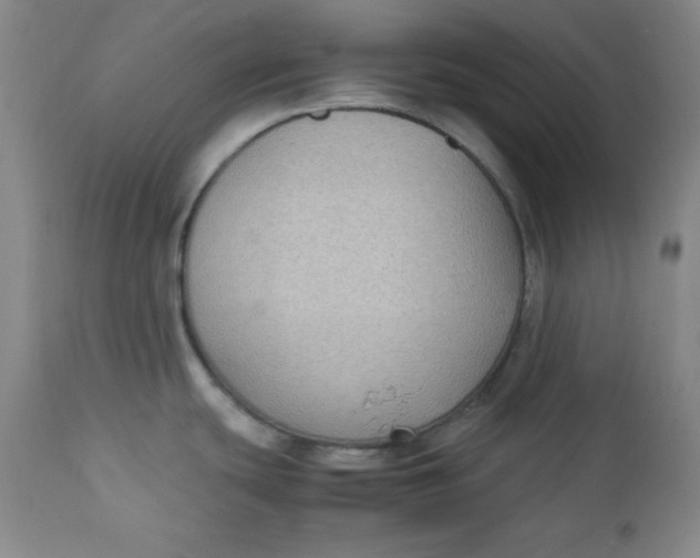 X0000112731439200909101440