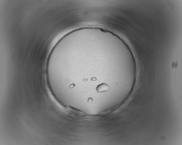 X0000112731440200909101440