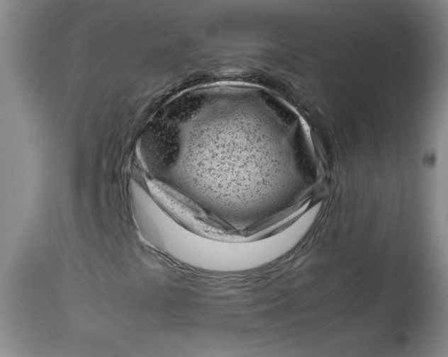 X0000112731441200909101440