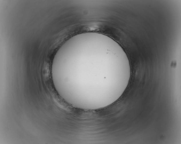 X0000112731442200909101440