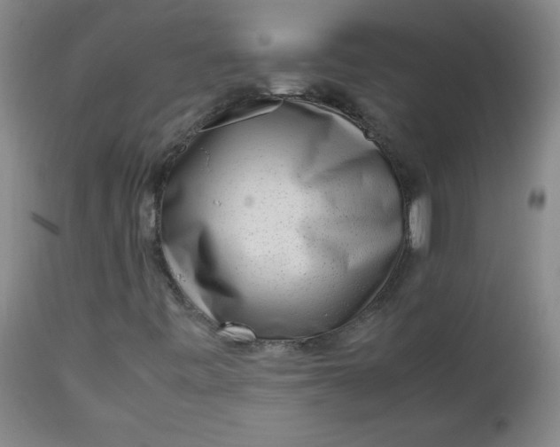 X0000112731443200909101440