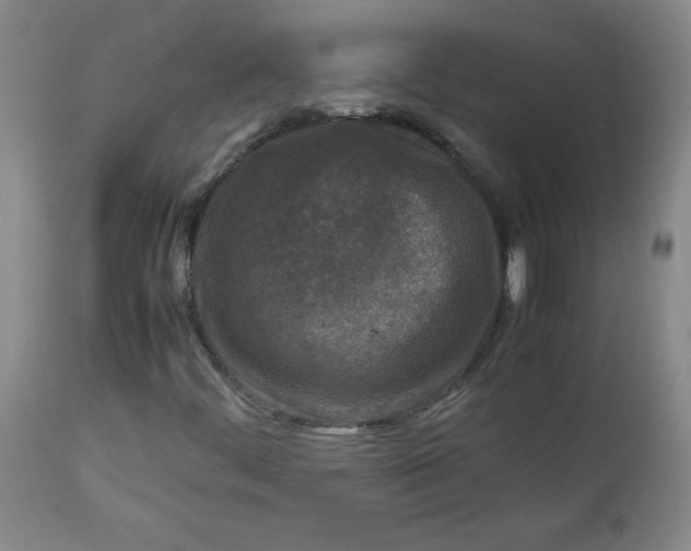 X0000112731444200909101440