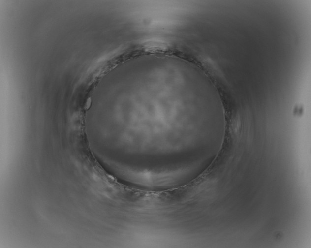 X0000112731445200909101440