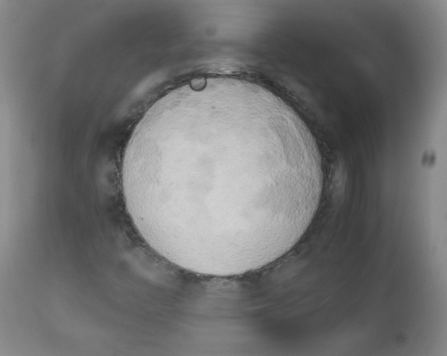 X0000112731446200909101440