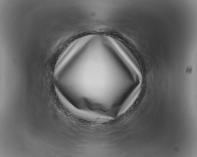 X0000112731447200909101440