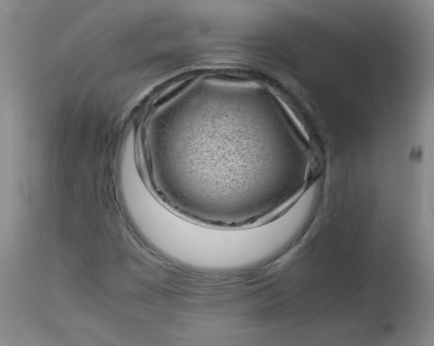 X0000112731449200909101440