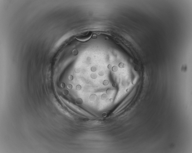 X0000112731450200909101440