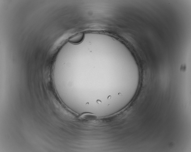 X0000112731451200909101440