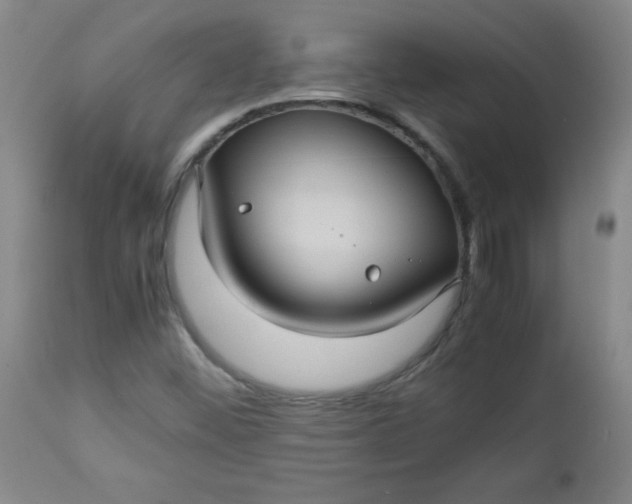 X0000112731452200909101440