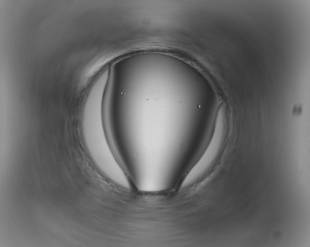 X0000112731453200909101440