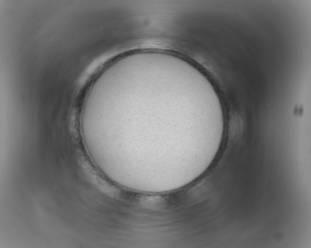 X0000112731454200909101440