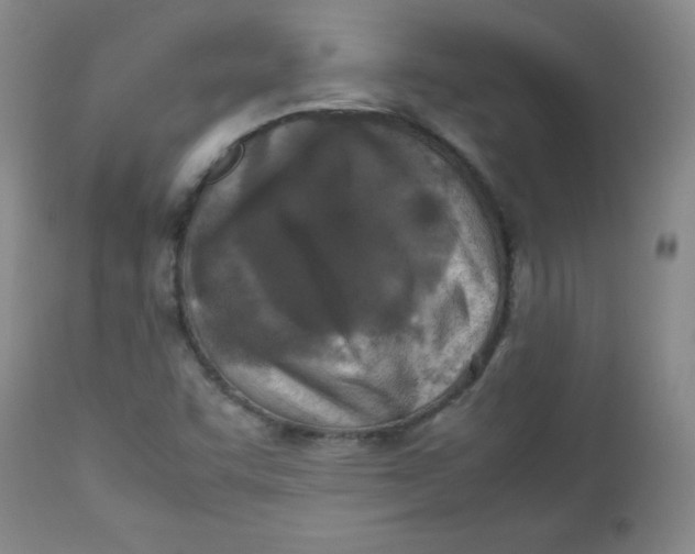 X0000112731455200909101440