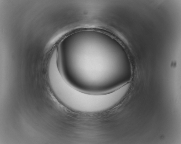 X0000112731456200909101440