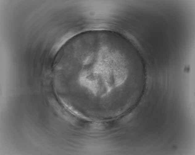 X0000112731457200909101440