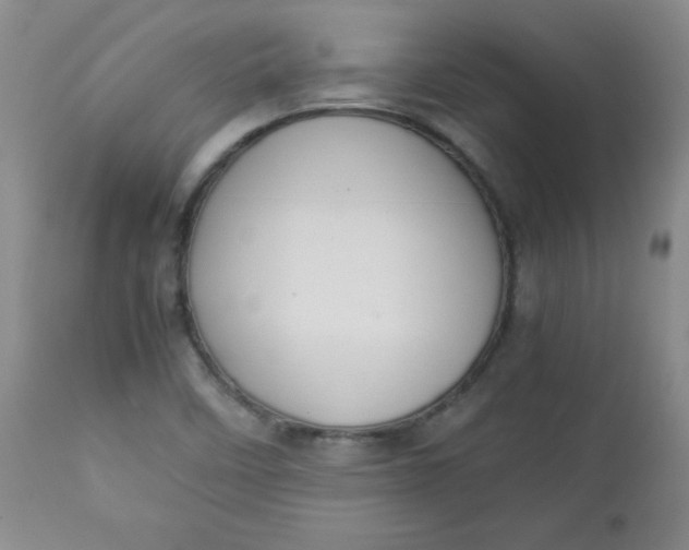 X0000112731458200909101439