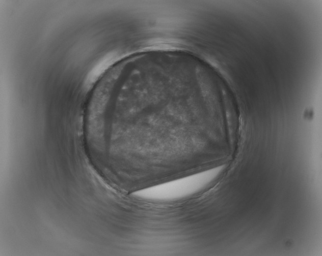 X0000112731459200909101439