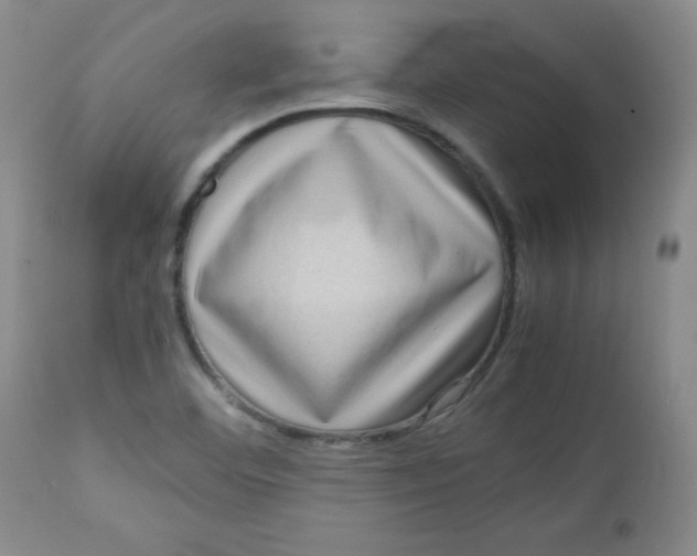 X0000112731460200909101439