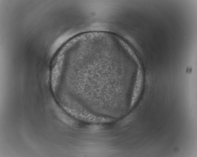 X0000112731461200909101439