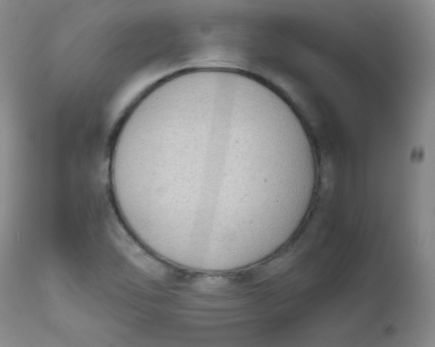 X0000112731462200909101439