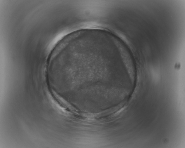 X0000112731463200909101439