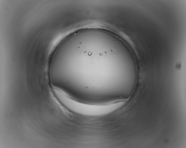 X0000112731464200909101439