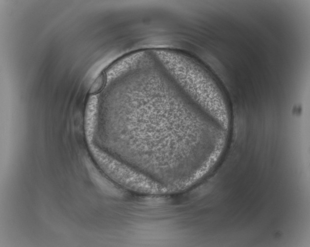 X0000112731465200909101439