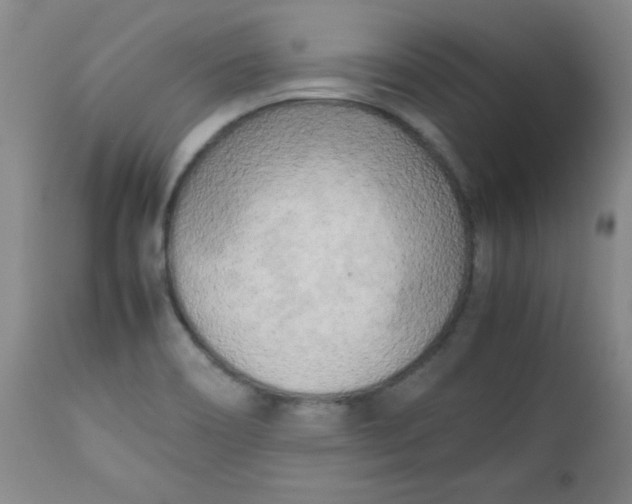 X0000112731466200909101439