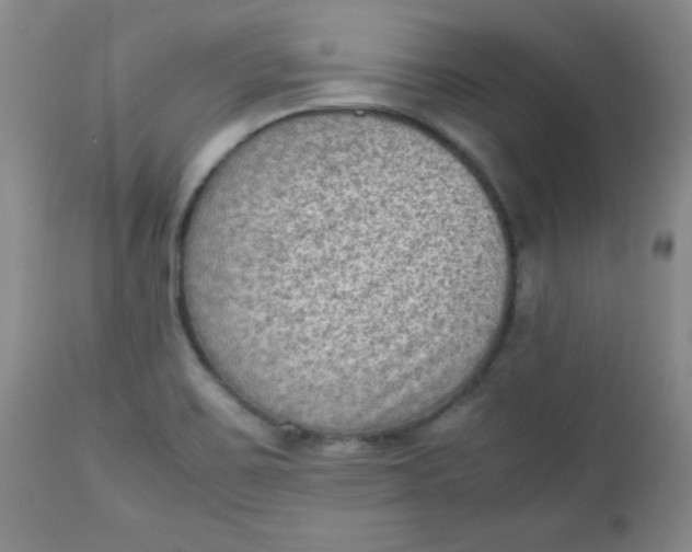 X0000112731467200909101439