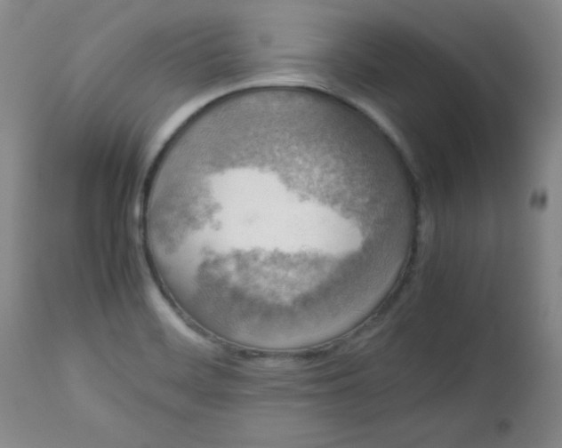 X0000112731468200909101439