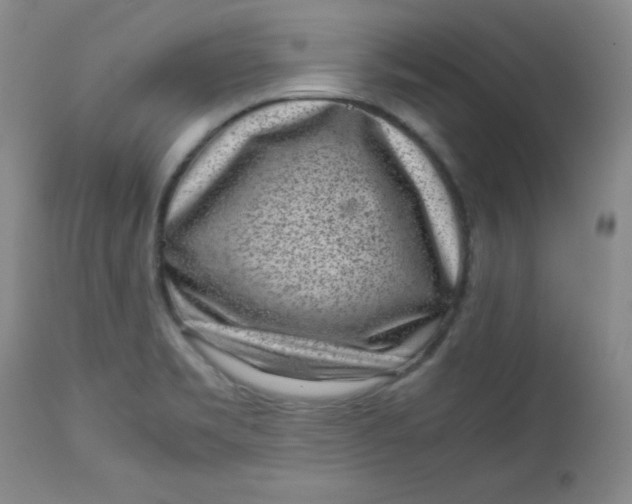 X0000112731469200909101439