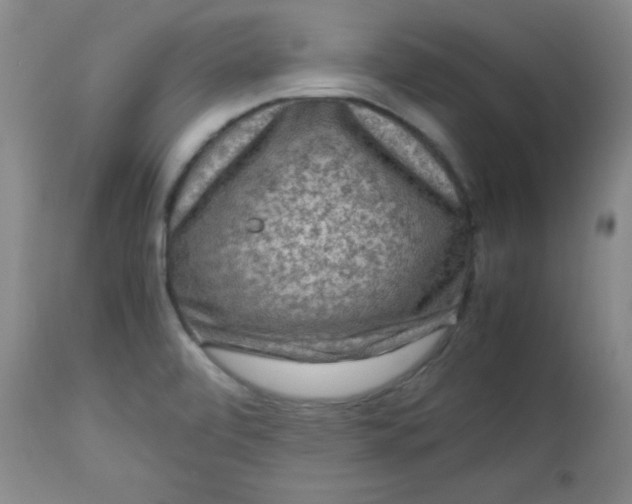 X0000112731472200909101439