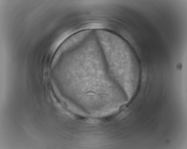 X0000112731473200909101439