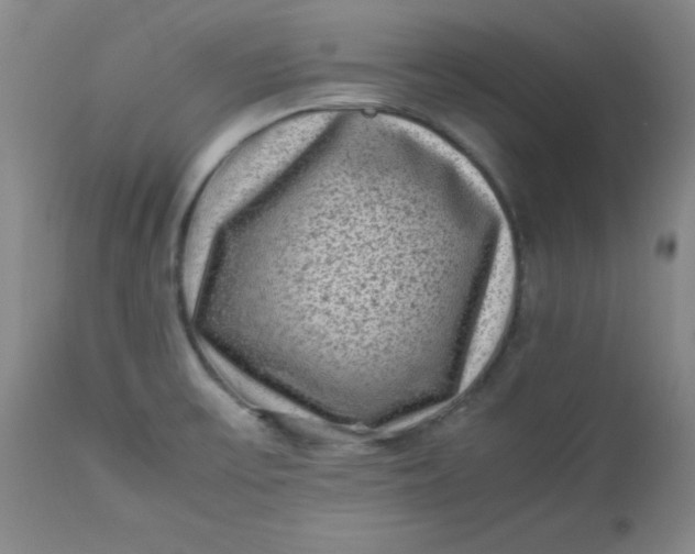 X0000112731475200909101439