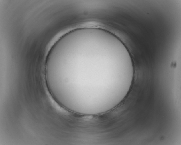 X0000112731478200909101439