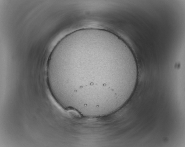 X0000112731479200909101439