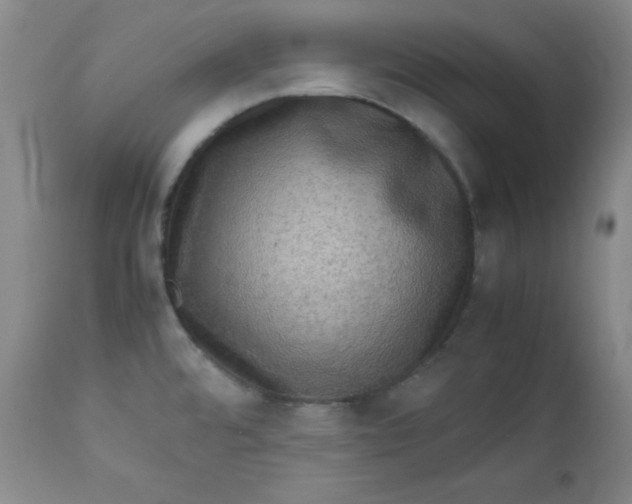 X0000112731480200909101439