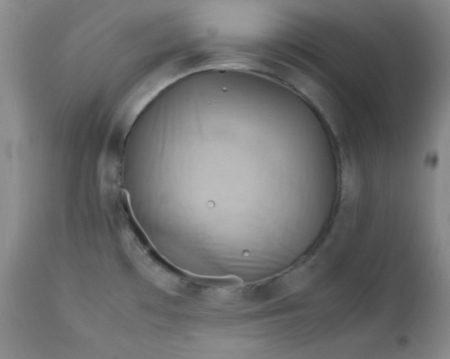 X0000112731481200909101439