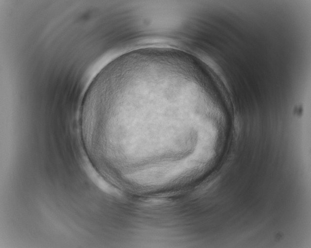 X0000112731482200909101439