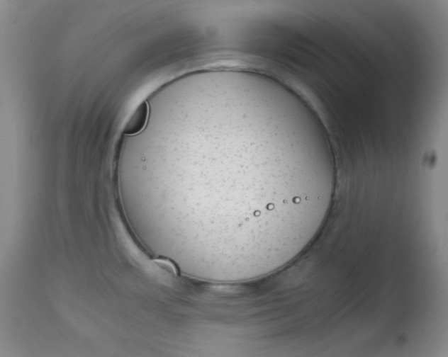 X0000112731483200909101439