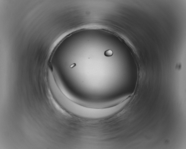 X0000112731484200909101439