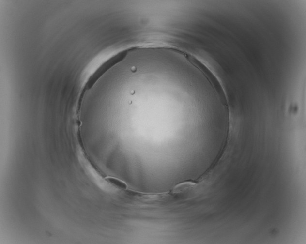 X0000112731485200909101439