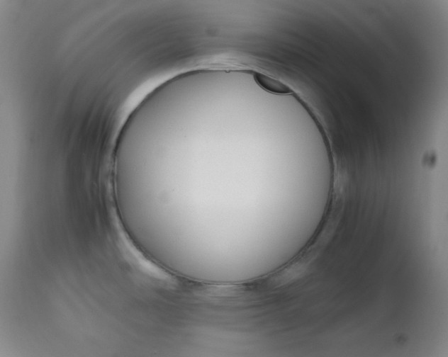 X0000112731486200909101439