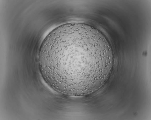 X0000112731487200909101439