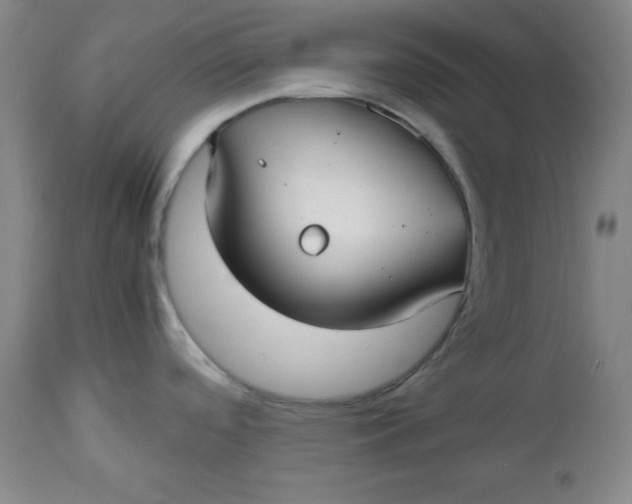 X0000112731488200909101439