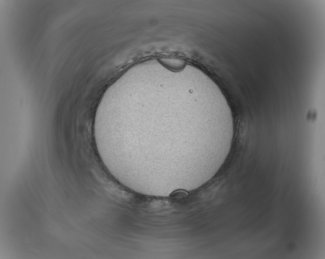 X0000112731489200909101438