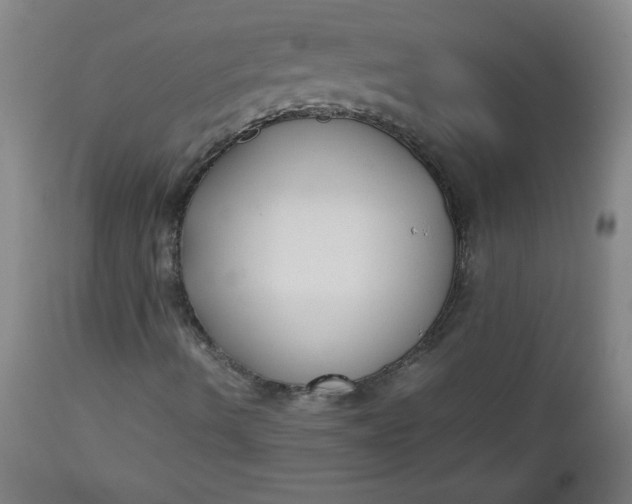 X0000112731490200909101438