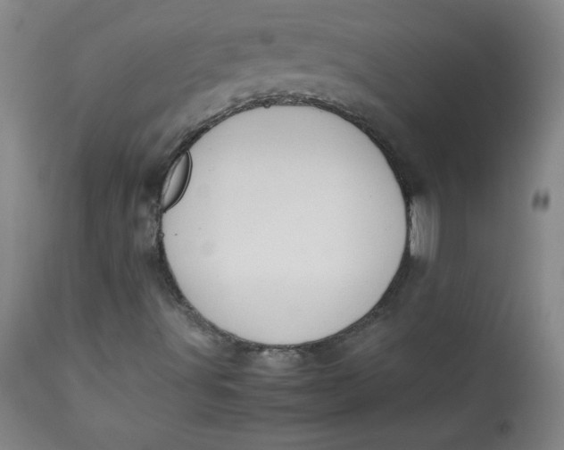 X0000112731491200909101438